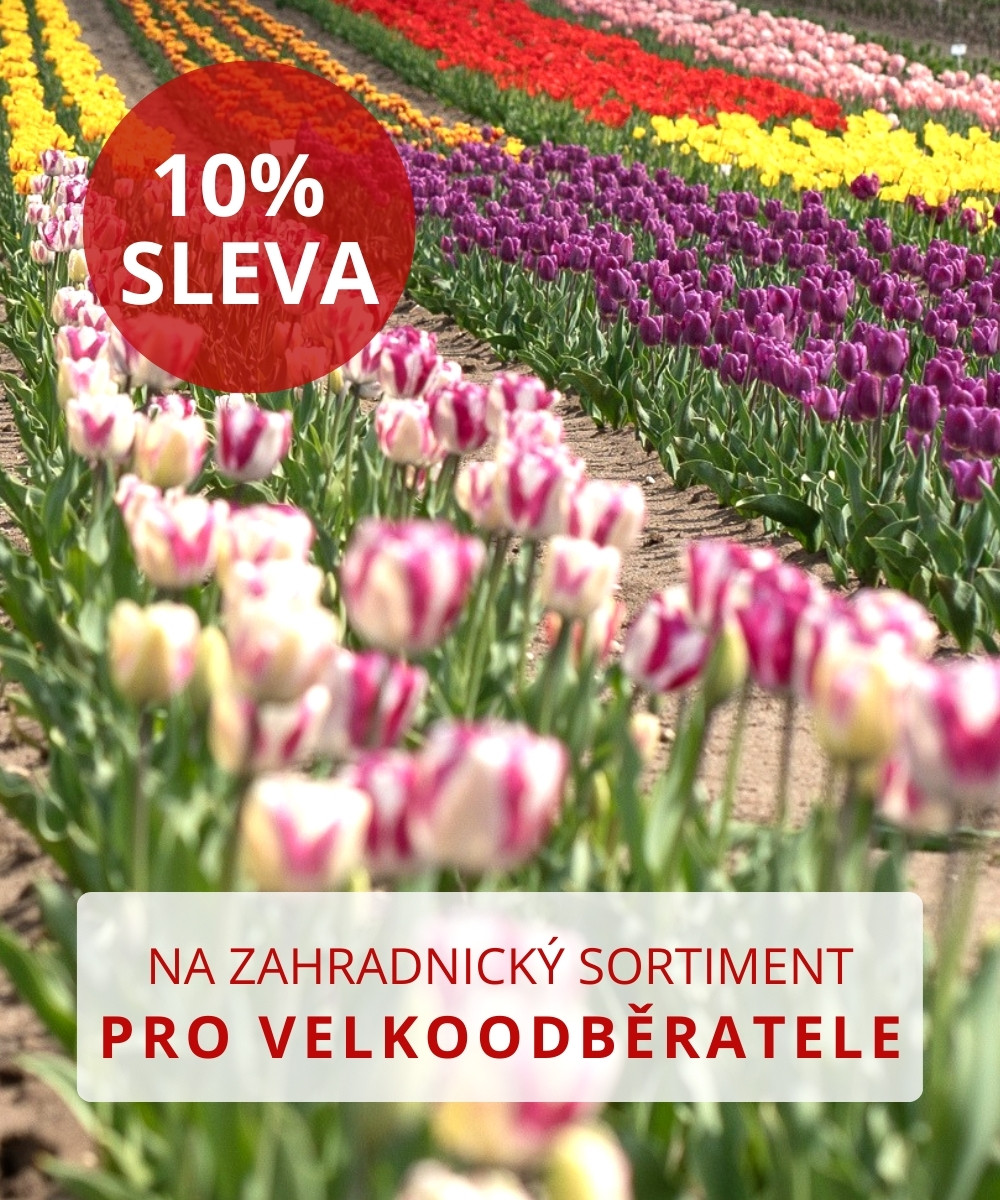 sleva pro velkoobchodni prodej